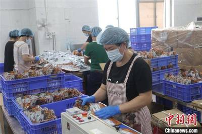 “预制菜”风口下,广东阳江调味品企业挖掘业绩增长新赛道